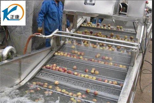 胡萝卜去泥清洗机选购指南 正康食品机械与激光清洗技术解析